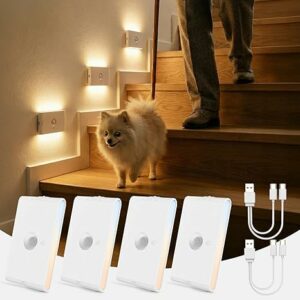 spot led detecteur de mouvement paxilia autonomie